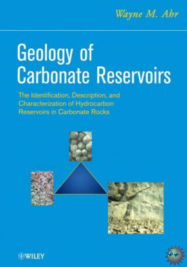 geology of carbonate reservoir2.png