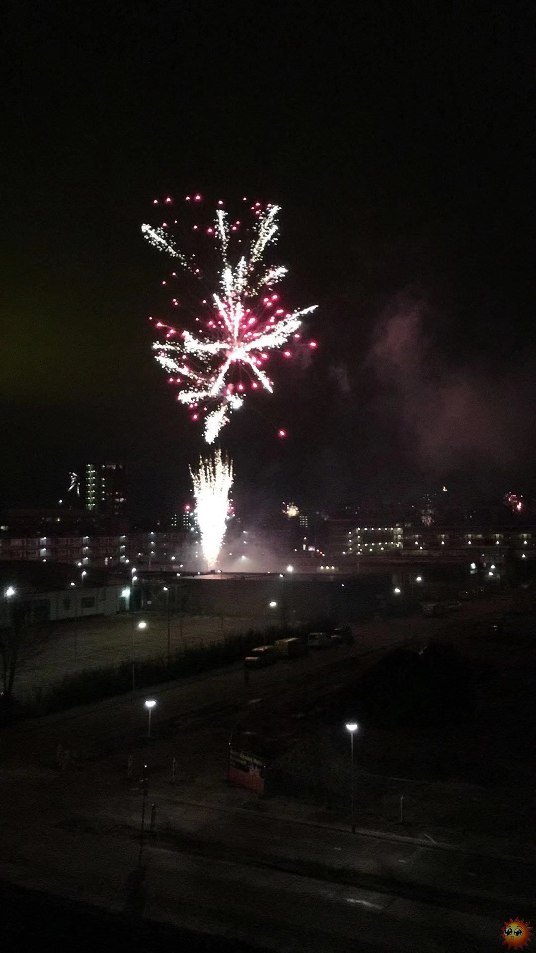 Delft New Year.jpg