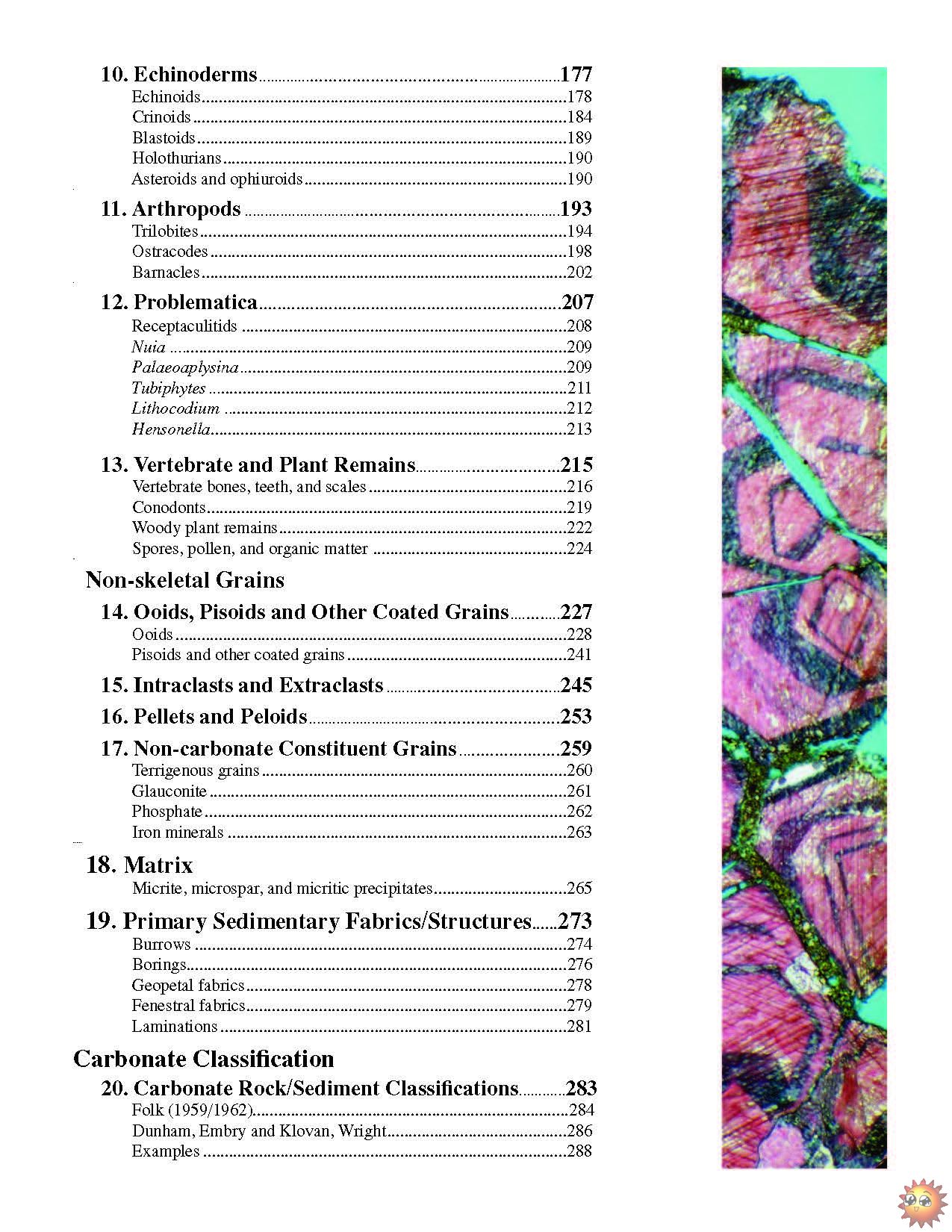 001A_A Color Guide to the Petrography of Carbonate Rocks Grains, Textures, Poros.jpg