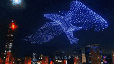 image25.gif