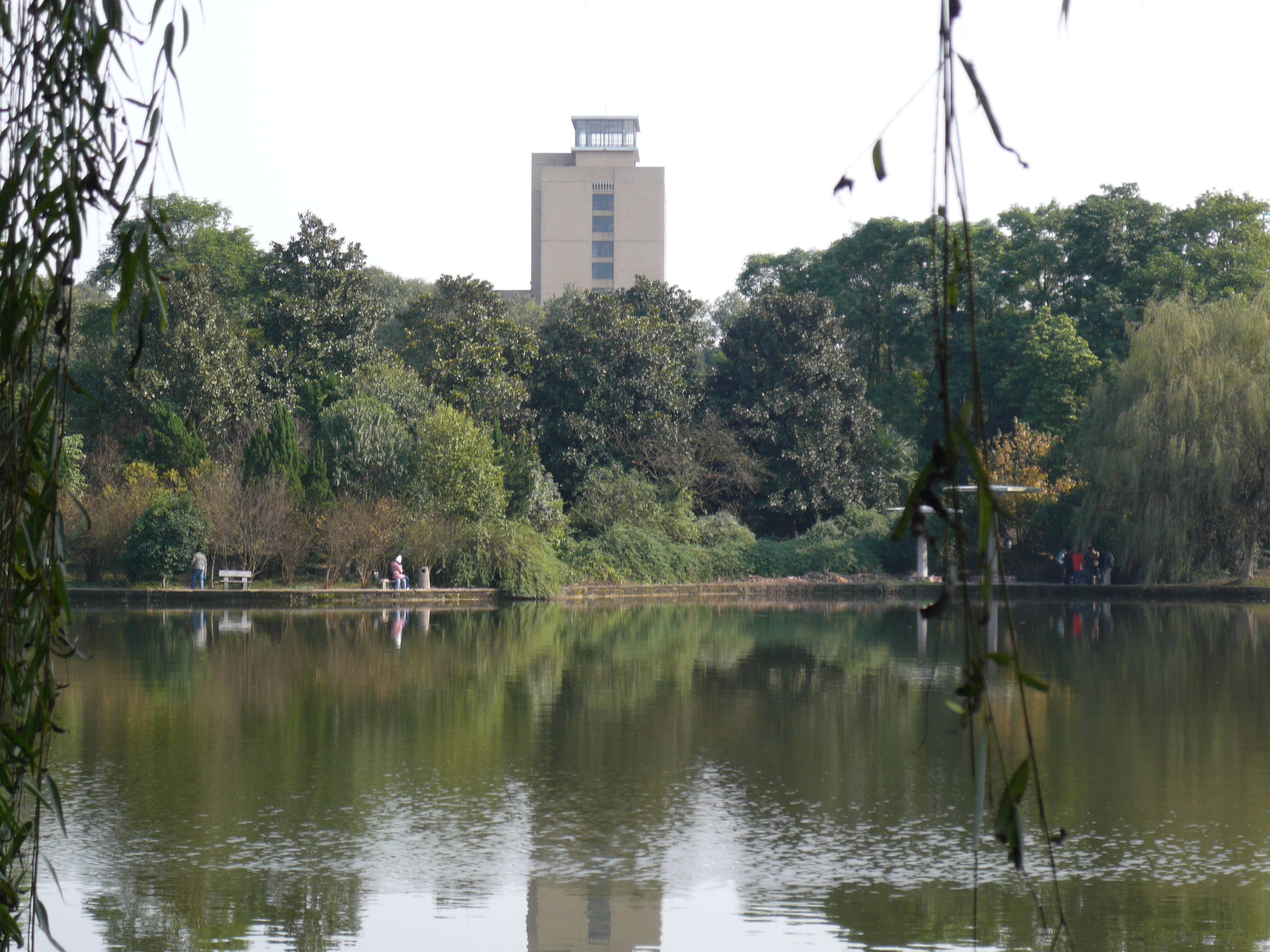 P1000555.JPG