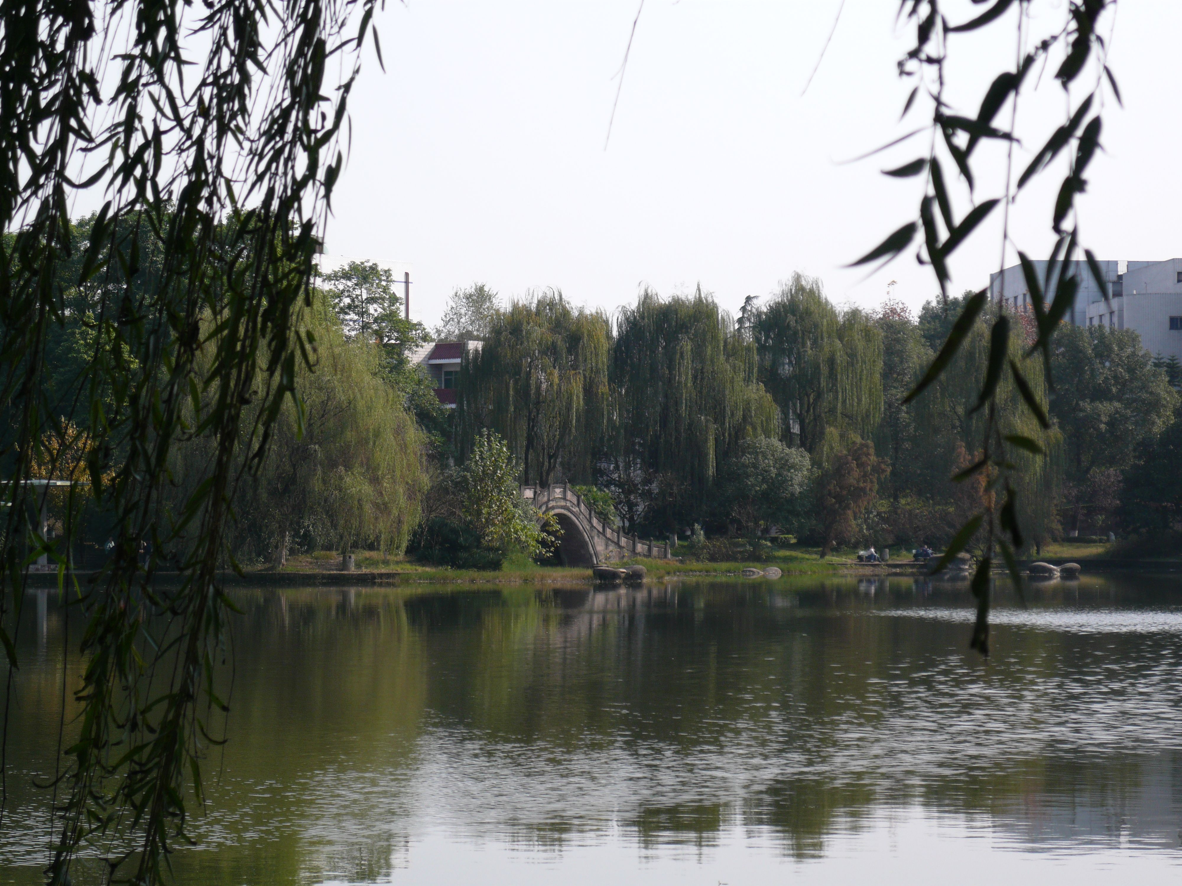 P1000560.JPG